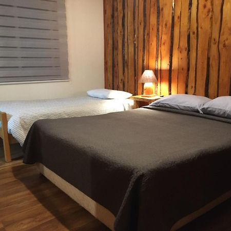 Ruka Pucon Hostel المظهر الخارجي الصورة