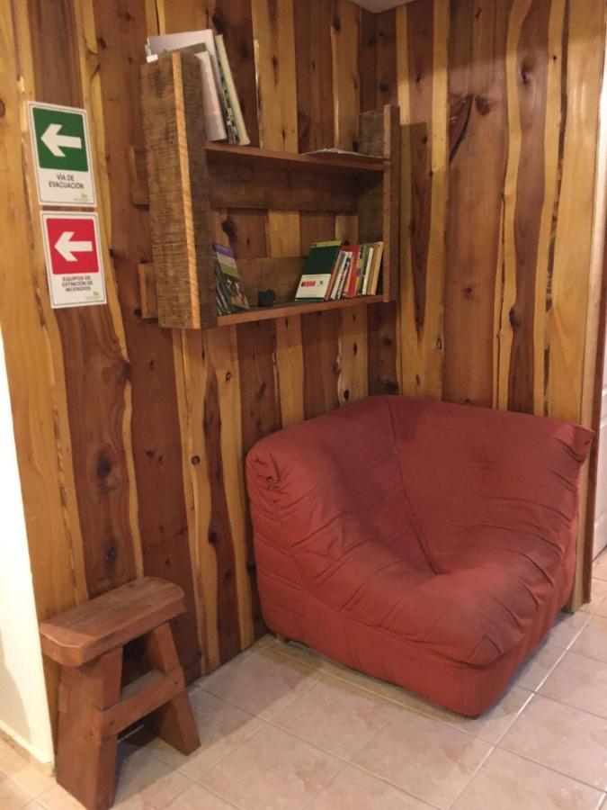 Ruka Pucon Hostel المظهر الخارجي الصورة