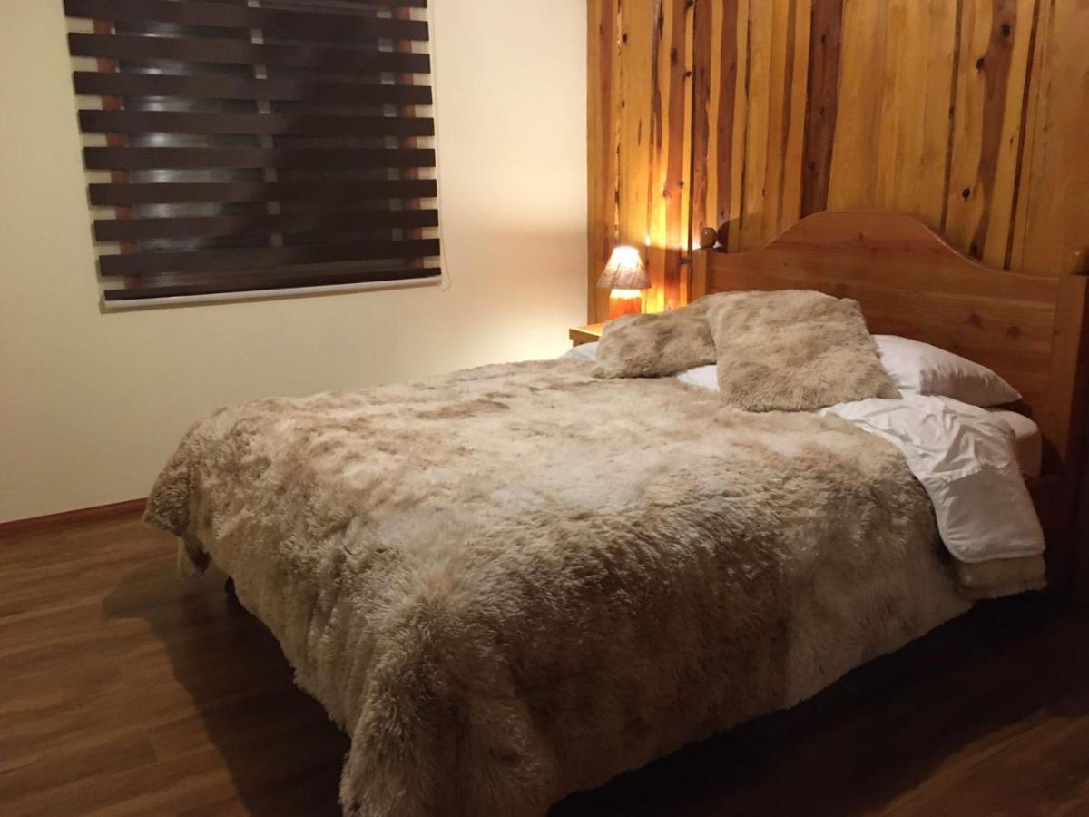 Ruka Pucon Hostel المظهر الخارجي الصورة